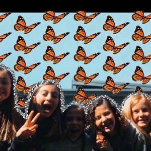 Meet your Posher, Addie